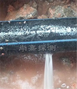 长坡镇消防管道漏点探测